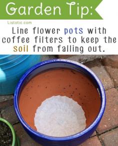 
                    
                        20 Insanely Clever Gardening Tips And Ideas
                    
                