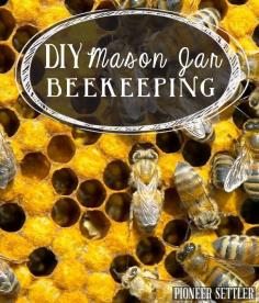 
                    
                        Beekeeping for Beginners, DIY beekeeping mason jar projects for your homestead. | pioneersettler.co...
                    
                