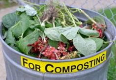 
                    
                        Whether you're new to home gardening or a seasoned expert, our collection of 30 composting tips should help. Enjoy! 1. Old shipping pallets make great compost bins. Begin with one flat on the ground.
                    
                