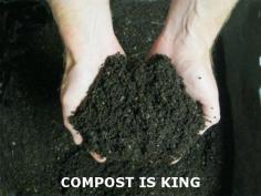 
                    
                        Cold Weather Composting – A 7 Step Plan
                    
                