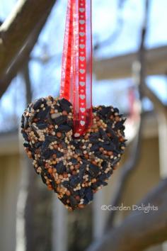 
                    
                        DIY Birdseed Valentine's Ornaments @Garden Delights
                    
                