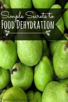 
                    
                        Dehydrating food is the simplest way to preserve it. Here are some very easy and basic foods to start with. | via www.TheSurvivalMo...
                    
                