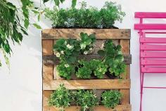 
                    
                        How to build a pallet vertical garden and a DIY plastic wall garden
                    
                