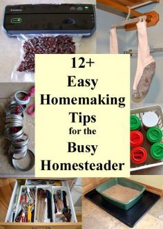 
                    
                        12+ Easy Homemaking Tips for Busy Homesteaders - Homemaking tips and tricks to keep the clutter under control and make things a little tidier and easier to use. Save time and money, reuse and repurpose.
                    
                