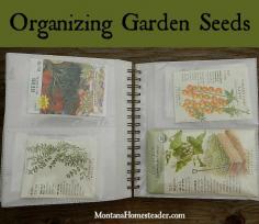 
                    
                        Organizing Garden Seeds- An easy way to sort, organize and store garden, herb and flower seeds | Montana Homesteader
                    
                