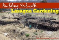 
                    
                        Building Soil with Lasagna Gardening. To create a healthy, resilient garden with few pests and disease, building soil is the key to growing nutrient dense food in your garden. Essentially, a lasagna garden is made up of layers and layers of organic material that compost in place to create rich garden beds.#gardenbeds #lasagnagardening
                    
                