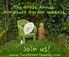 
                    
                        Join us for The Great Annual Miniature Garden Contest!
                    
                
