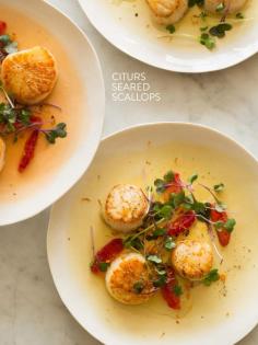 
                    
                        Citrus Seared Scallops
                    
                