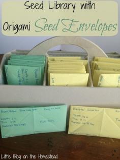 
                    
                        Origami Seed Envelopes
                    
                