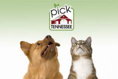 
                    
                        Want good advice for your best friend? Start by visiting a  Tennessee pet treat producer near you.
                    
                