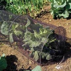 
                    
                        Netting Grow Tunnel Pests Gardening, gardening tools, pest control, protect your plants from all those pesky animals
                    
                