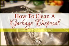 
                    
                        How To Clean A Garbage Disposal at sewlicioushomedec...
                    
                