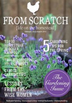 
                    
                        The Homestead Survival | Latest From Scratch Edition | thehomesteadsurvi...
                    
                