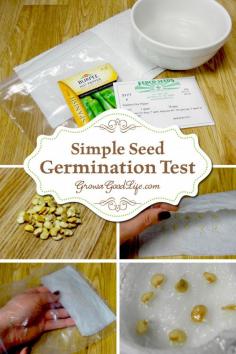 
                    
                        Simple Seed Germination Test | Grow a Good Life | Before you throw those old seed packages away, test them to see if they are still viable using this simple germination test.
                    
                