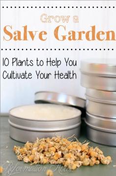 
                    
                        The top 10 healing herbs to grow in your salve garden-- grow these so you are always stock for DIY natural remedies, homemade salves, balms, and more.
                    
                