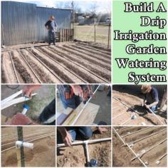 
                    
                        The Homestead Survival | Build A Drip Irrigation Garden Watering System | Gardening and Homesteading thehomesteadsurvi...
                    
                