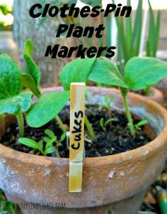 
                    
                        clothespin plant markers, frugal gardening, DIY plant markers, starting seeds
                    
                