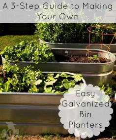 
                    
                        Galvanized bins make handy planters and they are pretty cool looking too. Best of all, this DIY project is one you can easily complete over a weekend.
                    
                