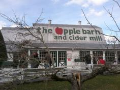 
                    
                        Traveling through East Tennessee?  Apple Barn is a great place to find Tennessee products all year long!
                    
                