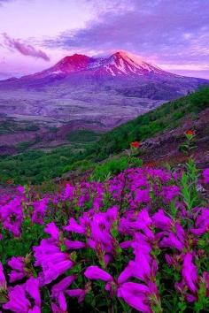 
                    
                        Mount St. Helens, Washington
                    
                