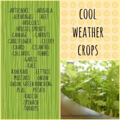 
                    
                        Here's a handy list of the cool weather crops. It's time to plant cool weather crops. These do best when the weather is cool and will even survive a frost
                    
                