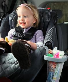 
                    
                        Kiddie Catch-All Gray Car Seat Organizer | zulily
                    
                