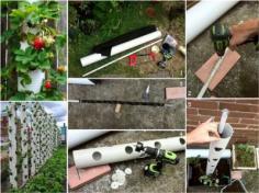 
                    
                        The Homestead Survival | Build a PVC Tube Vertical Strawberry Planter | homesteading & gardening -  thehomesteadsurvi...
                    
                