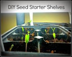 
                    
                        Easy way to set up an indoor system with grow lights to start seeds early. This makes a HUGE difference in getting vegetable plants a head start for spring!
                    
                