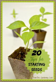 
                    
                        Get a head start on spring with my 20 seed starting tips - thegardeningcook.... #gardenchat #gardeningtips
                    
                