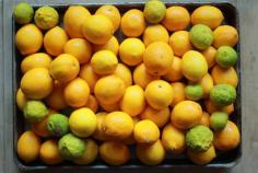
                    
                        Tips for Selecting, Prepping, and Preserving Lemons
                    
                