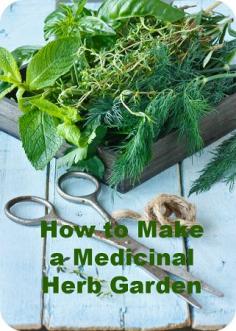 
                    
                        How to Start Your Own Medicinal Herb Garden
                    
                