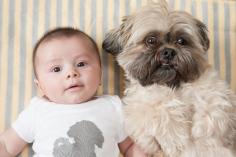 
                    
                        � Alice G Patterson Photography | DIY onesie with dog silhouette, baby and dog BFF
                    
                