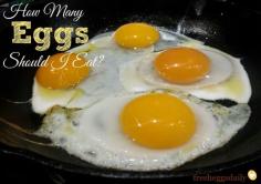 
                    
                        How Many Eggs Should I Eat a Day? A Week? | Fresh Eggs Daily®
                    
                
