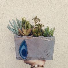 
                    
                        Window sill succulent concrete arrangement by RotdCreations
                    
                