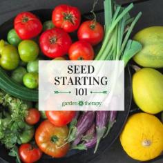 
                    
                        Seed Starting 101 - Garden Therapy
                    
                