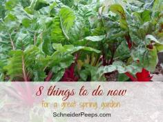 
                    
                        SchneiderPeeps - here are eight easy things to do now that will help you have a great spring garden.
                    
                