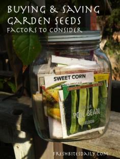 
                    
                        Buying and saving garden seed: Factors to consider
                    
                