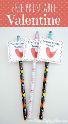 
                    
                        free printable valentine - you're pretty tweet! love these! Sweet and easy, and not candy!
                    
                