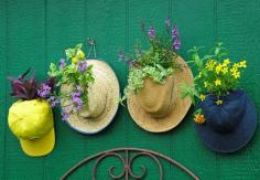 
                    
                        Welcome to our gallery of 20 Low-Budget Garden Pots and Container Projects. Here you’ll find some inspiration, so you can get ready to decorate your garden. As you’ll see below, lots of projects are from old items you can find laying around your home, or you can get some of these items at thrift stores near …
                    
                