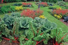 
                    
                        Eat Your Yard! How to Design an Edible Landscape - Natural Landscaping - Natural Home & Garden
                    
                