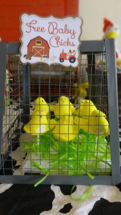 
                    
                        Peep chicks at a farm themed baby shower party! See more party ideas at CatchMyParty.com!
                    
                