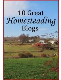 
                    
                        TOP HOMESTEADING BLOGS: Looking to check out some outstanding homesteading and backyard farming blogs? Here's an excellent collection, compiled by Sovereign Survival.
                    
                