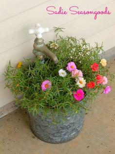 
                    
                        Vintage Bucket and Faucet Planter
                    
                