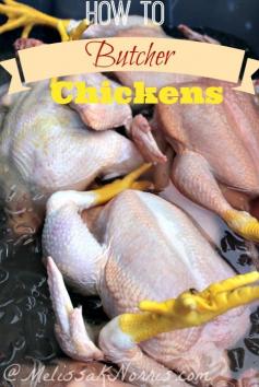 
                    
                        How to butcher a chicken at home. Great tips for processing and butchering your chickens at home. Easy step by step tutorial and instructions. Perfect for those wanting to know exactly what's in their meat and how to become self-sustainable.
                    
                