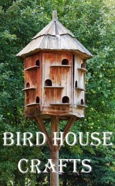 
                    
                        Bird House Crafts - There is much joy to be had with the watching of birds as they take shelter in a bird house especially crafted for them.
                    
                