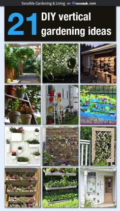 
                    
                        21-DIY-Projects-for-Vertical-Gardens with Sensible Gardening
                    
                