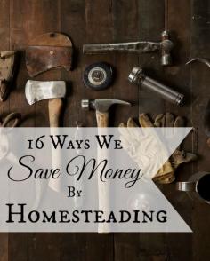 
                    
                        Interested in homesteading, but worried about the costs? Here are 16 Ways We Save Money By Homesteading  | areturntosimplici...
                    
                