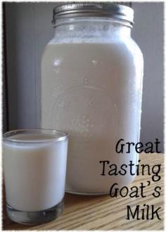 
                    
                        Goat's milk gets a bad rap. I've heard people describe goat's milk as “goaty” or just plain gross. But when handled properly, it isn't that way at all!
                    
                