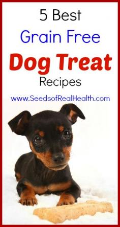 
                    
                        5 Best Grain Free Dog Treat Recipes
                    
                