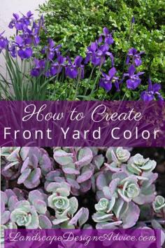 
                    
                        Find out how to create beautiful color in your front yard, back yard or wherever you like! Or let me help you! Both of these plants are extremely low maintenance as are many others.
                    
                